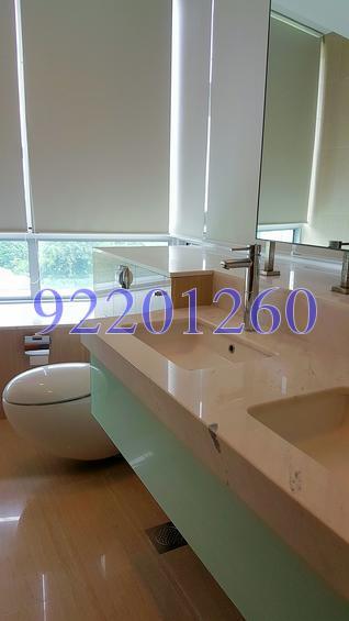 Grange Infinite (D9), Condominium #136324682